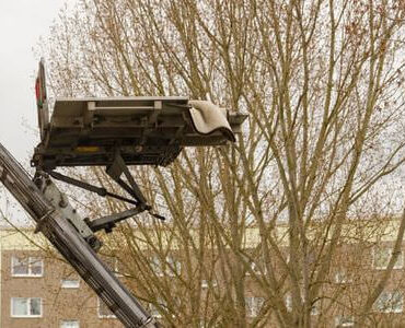 Möbellift in Calw: Möbellift zwischen kahlen Bäumen vor einem Gebäude