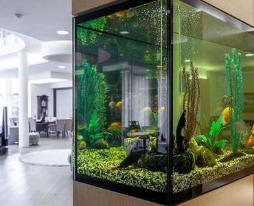 Aquarium-Umzug Calw: Großes Aquarium in einem modernen Wohnzimmer